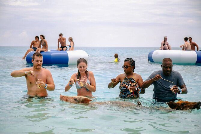Swimming Pigs Of Rose Island Water Taxi Nassau Bahamas - Who Will Love This Tour?