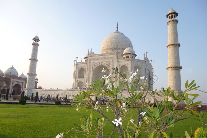 Taj Mahal & Agra Fort Tour from Delhi By Car with 5* Lunch - Why This Tour Offers Value
