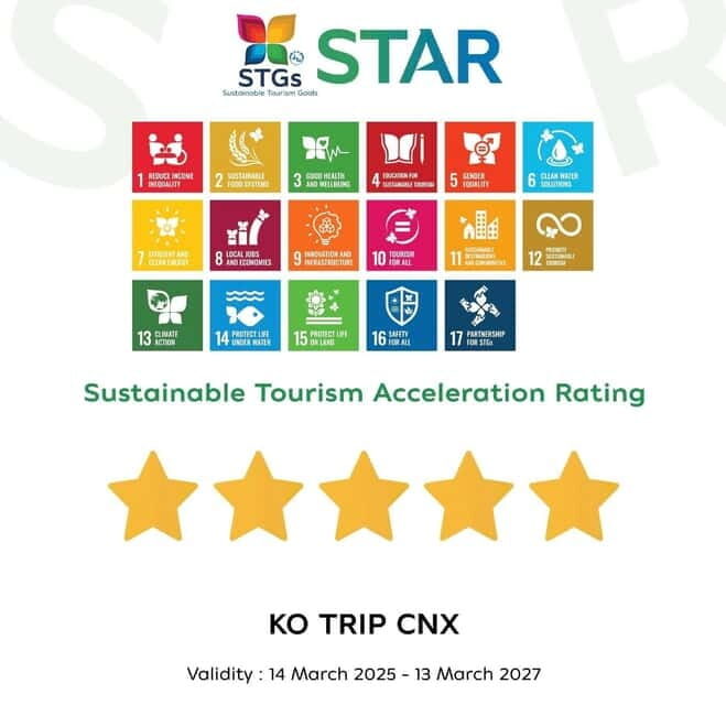 Taste of Chiang Mai: Michelin Guide Street Food Tour - Who Would Love This Tour?