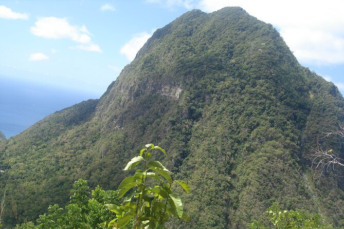 The Best of Saint Lucia Tour - Why This Tour Offers Great Value