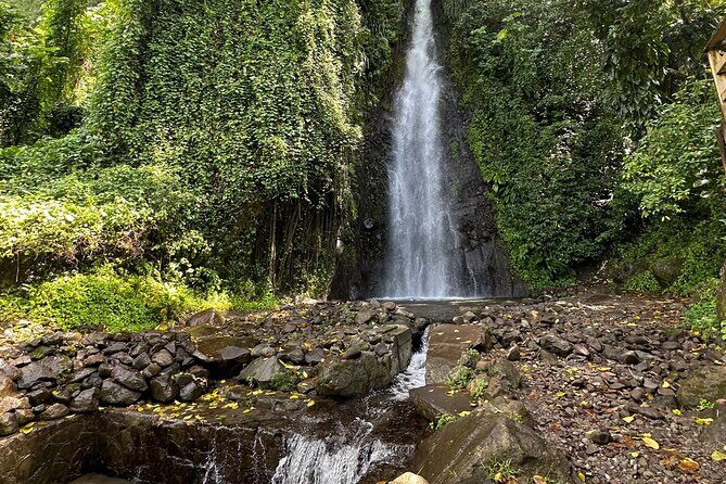 The Cascading Dark View Falls and Beach Experience with Topdawg Taxi and Tours - Who Should Consider This Tour?