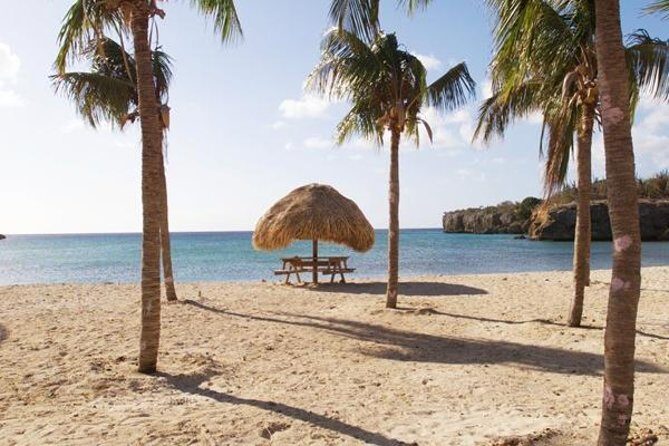 The Curacao Full Day Private Tour Experience - What Reviewers Say