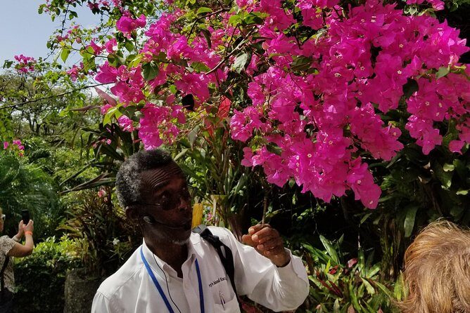 The Grand Tour of St. Kitts - What We Loved and What to Consider