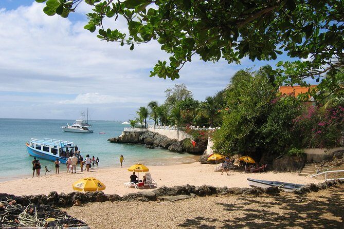 Tobago Buccoo Reef Glass Bottom Boat Tour - Practical Tips for Your Trip