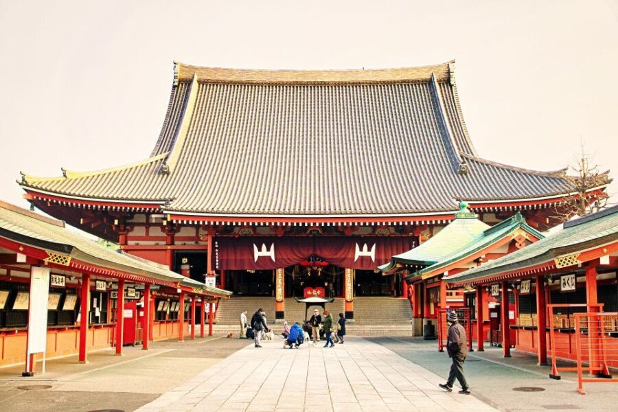 Tokyo: 1-Day Private Customizable Tour by Car - The Experience and the Guides