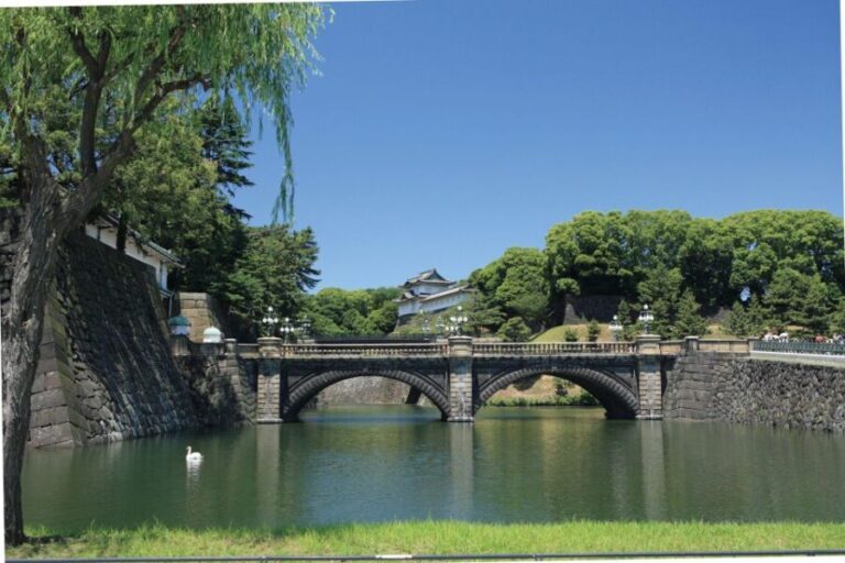 Tokyo: A Half-Day Trip Bus Tour in the Morning - The Practicalities: Transport, Timing, and Value