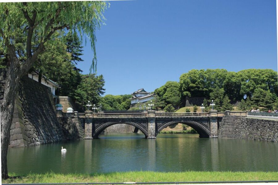 Tokyo: A Half-Day Trip Bus Tour in the Morning - The Practicalities: Transport, Timing, and Value