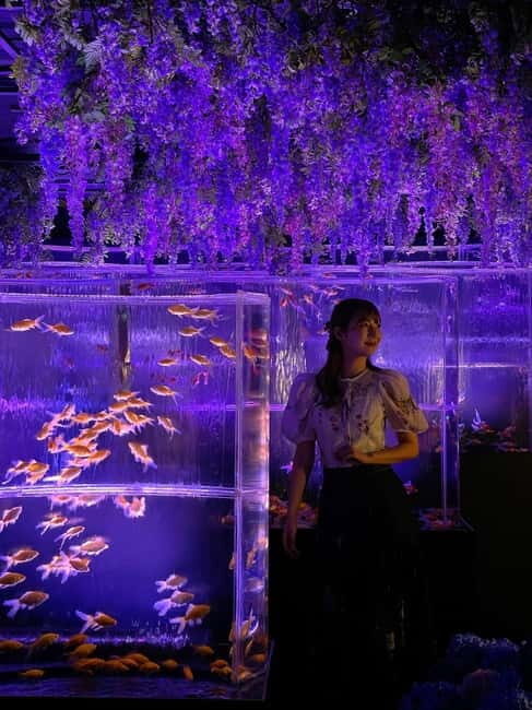 Tokyo: Art Aquarium Museum GINZA Entry Ticket - What to Expect Inside