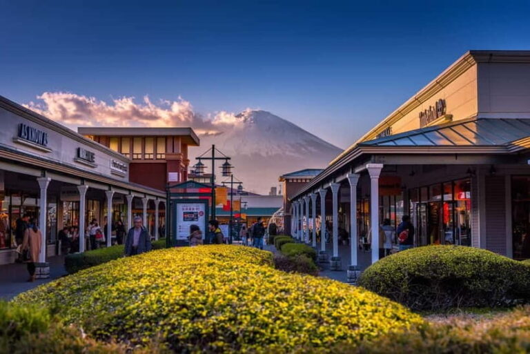 Tokyo: Hakone Fuji Day Tour w/ Cruise, Cable Car, Volcano - What’s Included and What to Expect