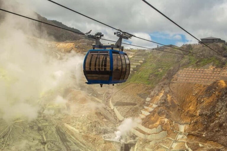 Tokyo: Mt. Fuji & Hakone, FREE Pirate Ship & Ropeway - The Logistics and What to Expect
