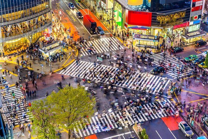 Tokyo Shibuya Crossing Walking Tour - An In-Depth Look at the Itinerary