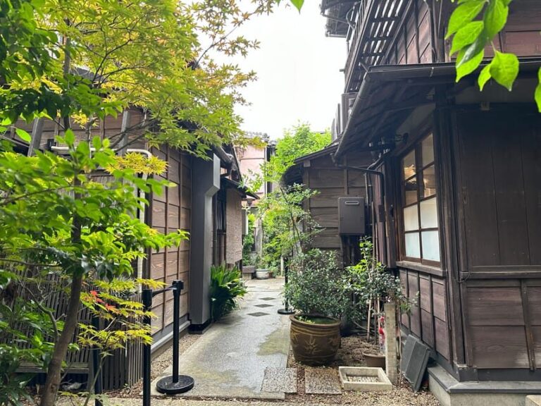 Tokyo : Stroll in the Old traditional town~Yanaka & Nezu - The Practical Side: What to Expect