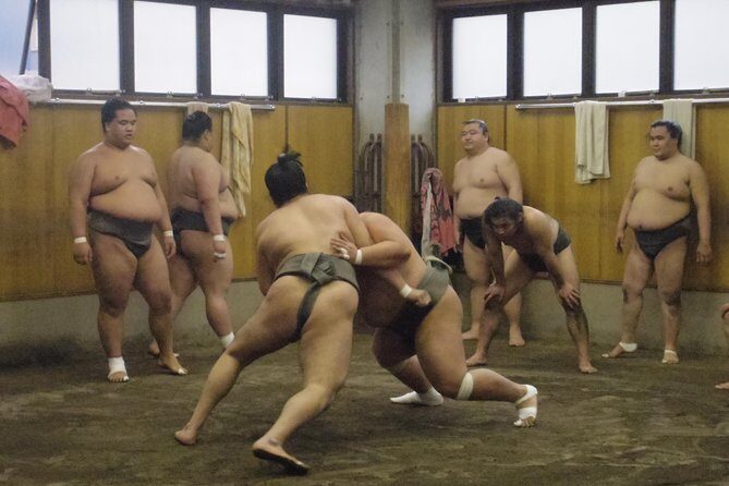 Tokyo Sumo Morning Practice Tour at Stable - Who Would Love This Tour?