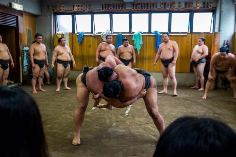 Tokyo: Sumo Morning Practice Viewing Tour - Key Points