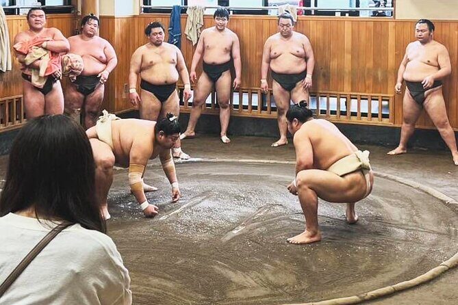 Tokyo: Sumo Morning Practice Viewing Tour at a Real Stable - Why This Tour Offers Great Value