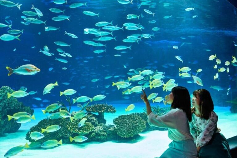 Tokyo: Sunshine Aquarium Entry Ticket - What to Expect at the Sunshine Aquarium