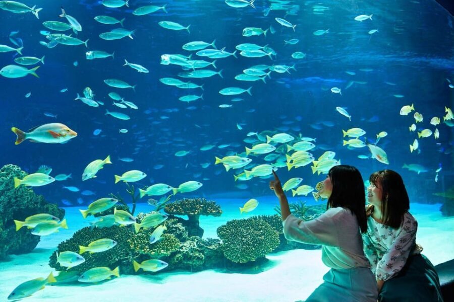 Tokyo: Sunshine Aquarium Entry Ticket - What to Expect at the Sunshine Aquarium
