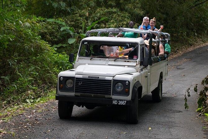Treetop Adventure Park Canopy Tour - The Good, the Great, and a Few Considerations