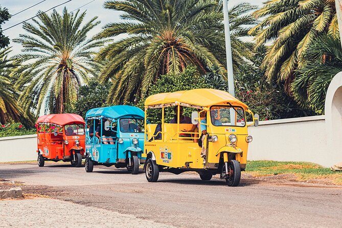 Tuk-Tuk Adventures Rainforest and Beach Hopping Tour - Overall Value and Who Will Love This Tour