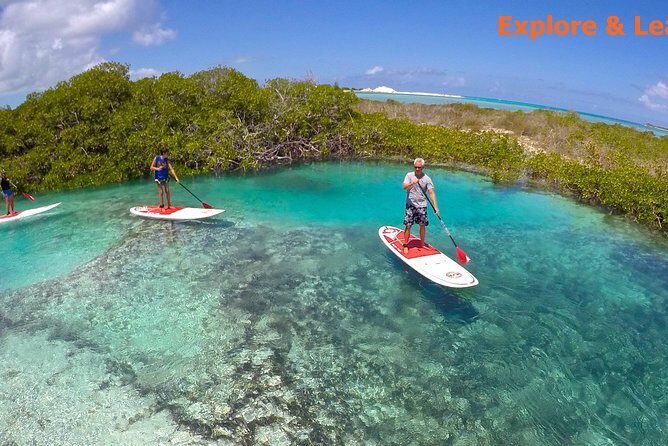 Turtle Eco Tour on Stand-Up Paddleboards or Kayaks into the National Marine Park - FAQs
