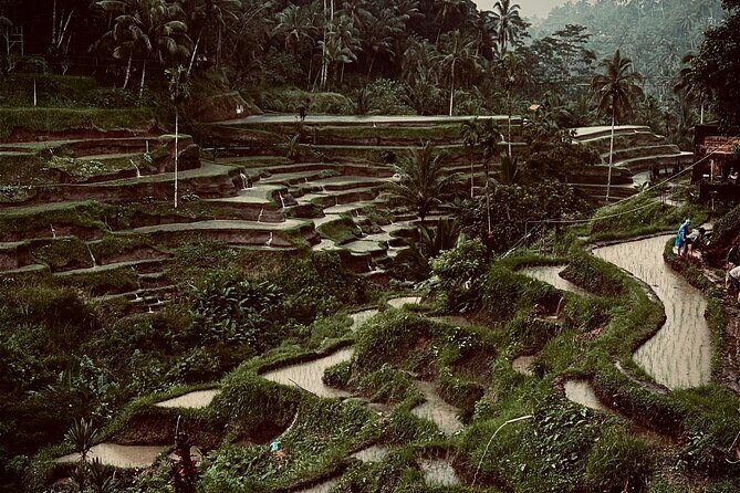 Ubud Top Tours to Discover Balis Cultural and Natural Wonders - What’s Included and What to Expect