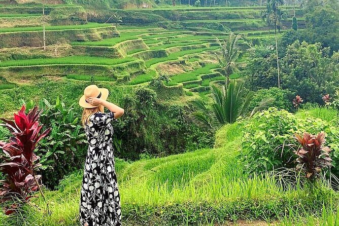 Ubud Tour - Ubud Highlight - Private Tour All inclusive - Why This Tour Works for Travelers