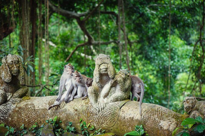Ubud: Waterfall, Rice Terraces, and Monkey Forest Private Tour - Who Will Love This Tour?