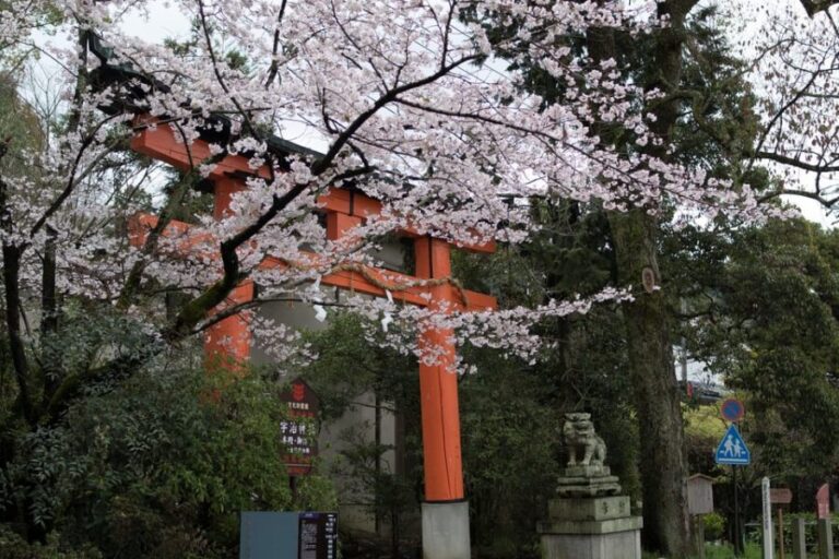 Uji: UNESCO Heritage & Tea Ceremony Walking Tour - Discovering Uji: An Introduction