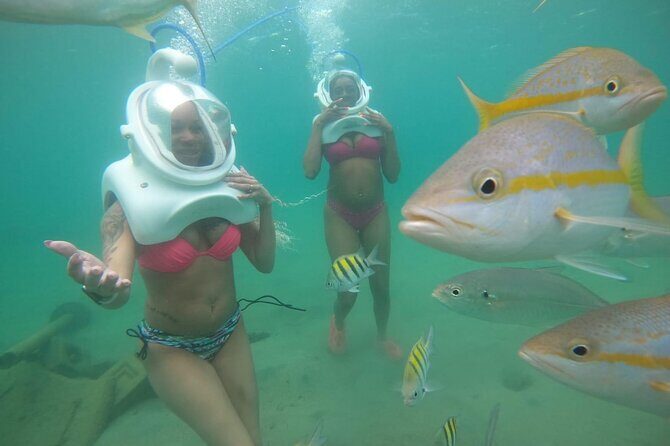 Underwater Sea Trek in San Juan: Explore Beneath the Waves - What Makes This Tour Stand Out?