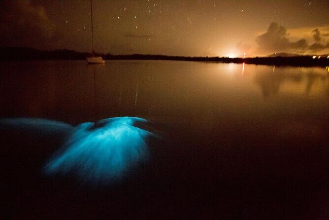 Unforgettable One Day Bioluminescent Kayak Adventure in Vieques - FAQ