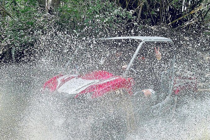 UTV adventure in Naguabo Puerto Rico 50 minutes trip 80 acres - What to Expect During the Tour
