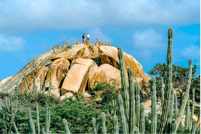 UTV Morning Tour: Discover Aruba's Hidden Treasures - Why This Tour Is a Great Choice