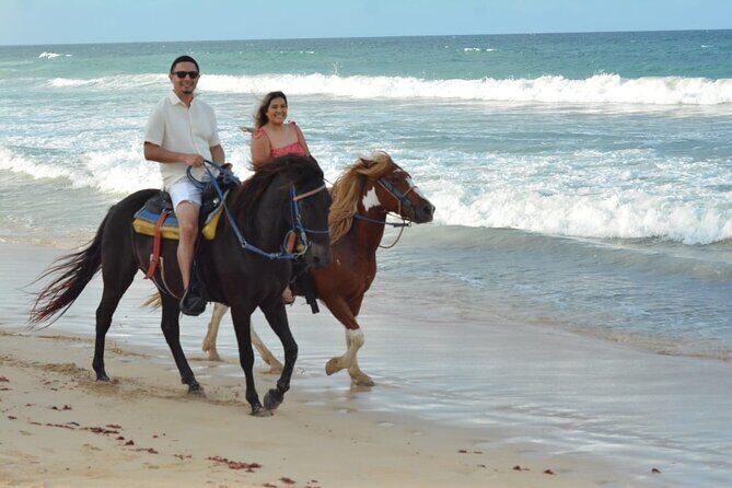 Want to Learn to Gallop at Bavaro Punta Cana Beach! - What Travelers Say