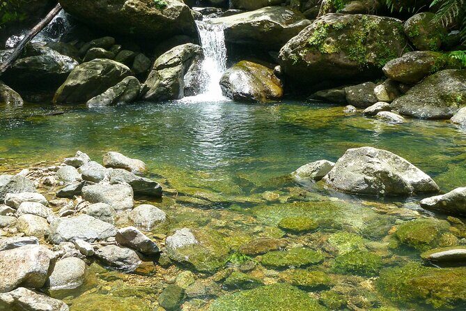 Waterfall Hike in Remote Area of El Yunque Rainforest; San Juan - Guided Expertise and Group Dynamics