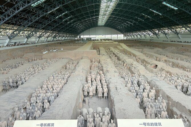 Xi'an: Exclusive Terracotta Army Tour with Local Family Lunch - Transport, Group Size, and Value