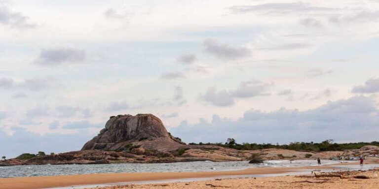 Yala National Park: Half, 7-Hour, or Full-Day Safari & Meals - Who Will Love This Safari?