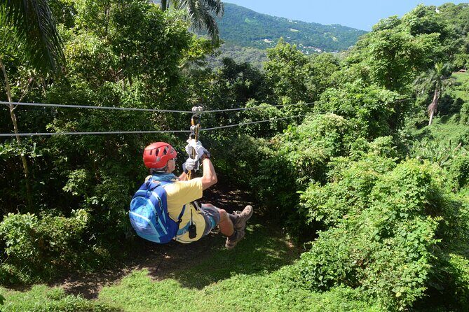 Ziplining at the Rainforest in Puerto Rico - The Experience in Practice