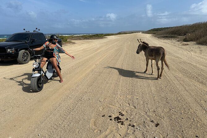 1/2 Day (4 hour) Electric Scooter Rental in Aruba - Itinerary & Key Stops – What You Can Expect