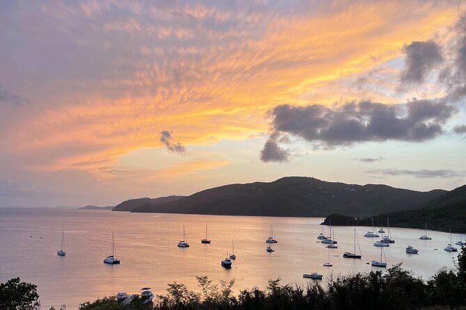 1.5 Hour Private Mini Jeep Tour on St. Thomas - Insights from Reviews