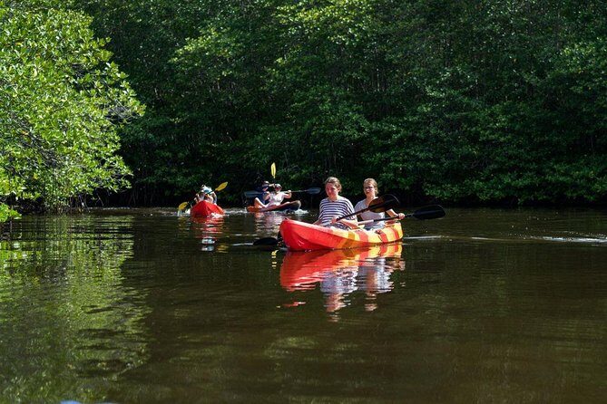 1 Hour Mangrove Tour From Lembongan with Kayak, Paddle, or Boat - How This Tour Fits Into Your Nusa Lembongan Adventure