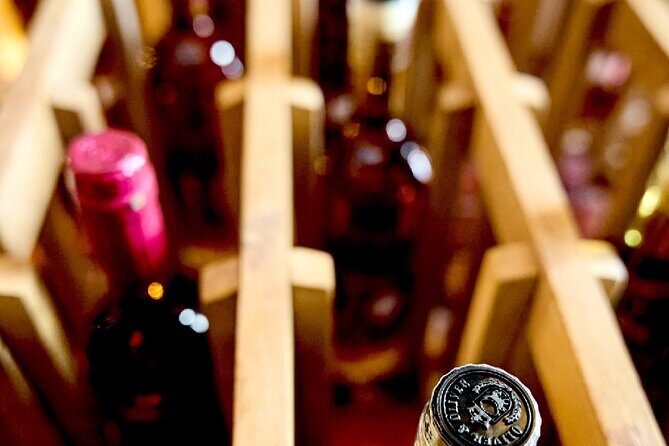 100% Caribbean Rum Tasting in Punta Cana. - The Itinerary in Detail