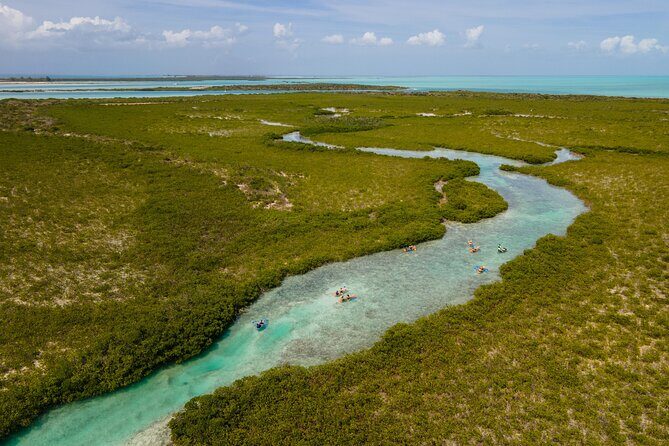 2 Hours Clear Kayaking Activity on Mangrove Cay - The Itinerary and Highlights