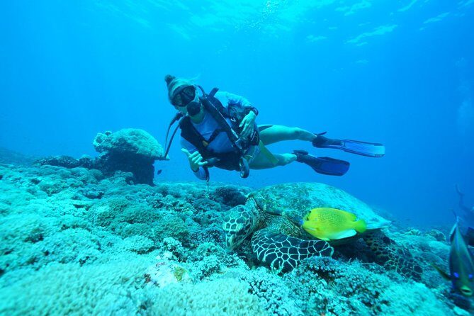 2 or 3 dives in Nusa Lembongan and Penida, for certified diver (in Lembongan) - Frequently Asked Questions