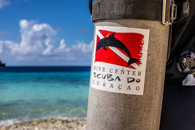 2 Tank Guided Dive half-day - Who Should Book This Tour?