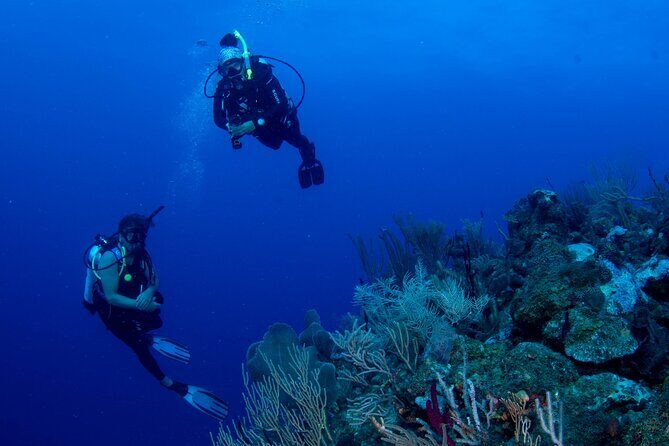 2-Tank Scuba Boat Trip in World-Class Sites @ Copamarina - Practical Details and Tips for Travelers