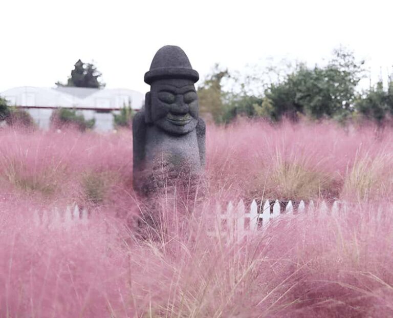 2025 Jeju Autumn Tour with Pink Muhly Festival Hotel pickup - The Itinerary Breakdown: What You’ll See and Why It Matters