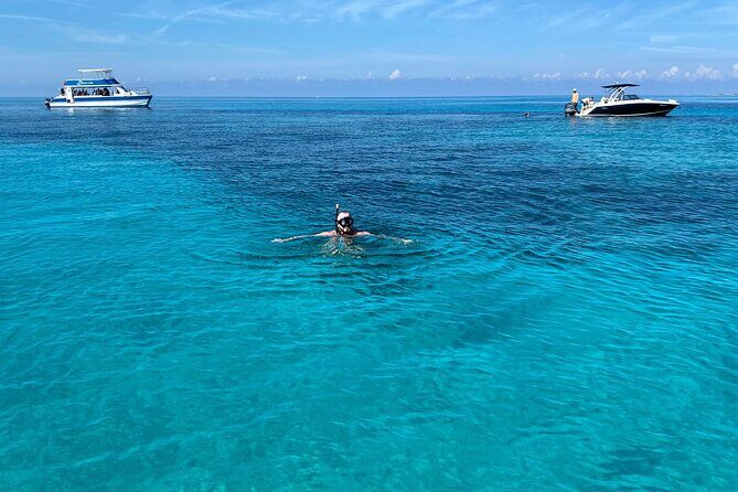 5 Hours Pigs and Turtles with Beach Stop in Bahamas - Whats Included and Its Value