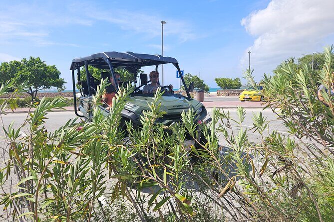 5-seater UTV 4 Hours Island tour in Aruba - Authentic Traveler Perspectives