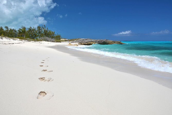 8 hours 38ft Reel Dreams Private Charter Nassau - Who Is This Tour Best For?