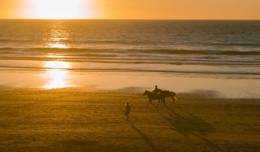 Taghazout horseback sunset ride